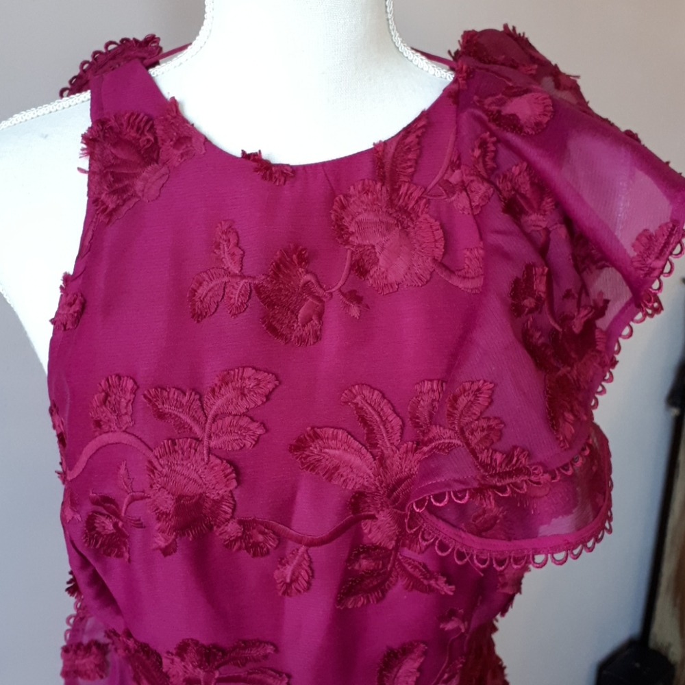 Keepsake raspberry dress - Picture 3 of 5